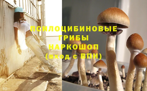 сатива Абдулино